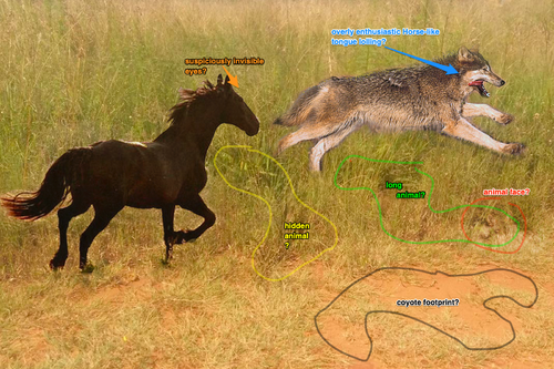 Horse-wolf-running-2.png